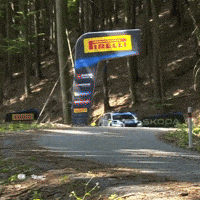Erc GIF by FIA European Rally Championship