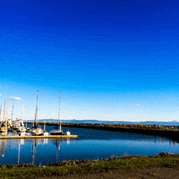 running GIF by thefutureiswow