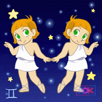 twins gemini GIF by AOK