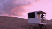 Happy Beach GIF by Sony Music Africa