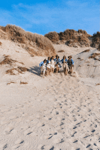 Happy France GIF