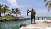 shaquille o'neal wow GIF by Shark Week