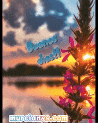 Amigos Flores GIF by Murcianys LLC