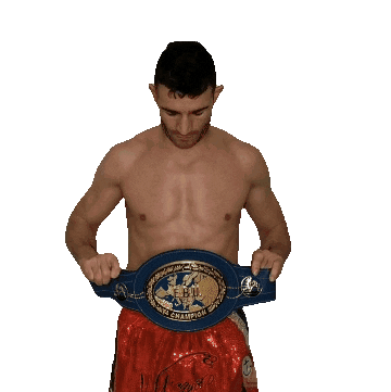 Knockout Fighting Sticker by Matteo Signani - Il Giaguaro