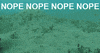 octopus scariest shit ever GIF