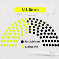 LX_GIFS impeachment lx nbclx GIF