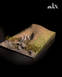 LX_GIFS climate climatechange lx GIF