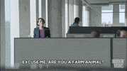 catherine reitman comedy GIF by CBC