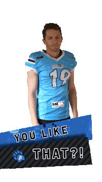 StyrianBears bärig youlikethat bearsfootball styrianbears Sticker