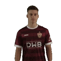 Goal Sticker by BFC Dynamo