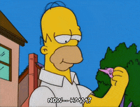 shocked homer simpson GIF