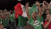 selecciÃ³n mexicana GIF by MiSelecciónMX