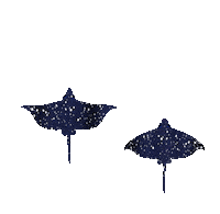 Under The Sea Swimming Sticker