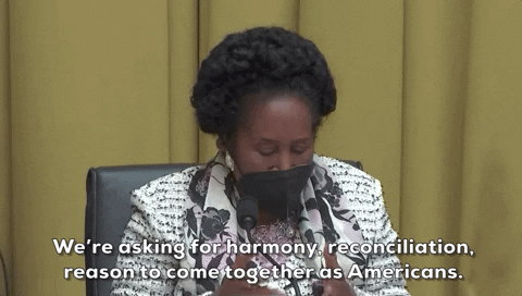 Sheila Jackson Lee Reparations GIF by GIPHY News