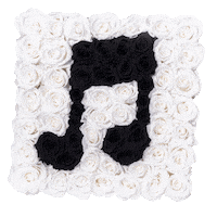 fire rainbow Sticker by La Fleur Bouquets