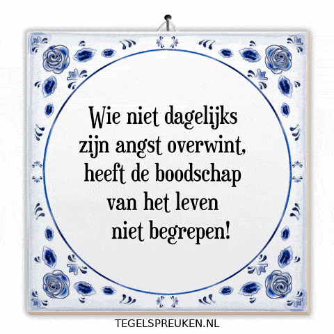 Humor Nl GIF by Tegelspreuken.nl