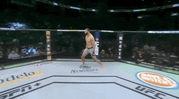Sport Mma GIF by UFC