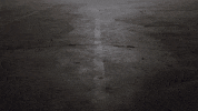 manson speaks GIF by History UK