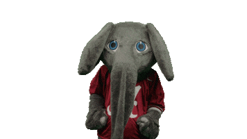 Alabama Football Ua Sticker by The University of Alabama