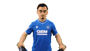 Happy Football Sticker by Karlsruher SC