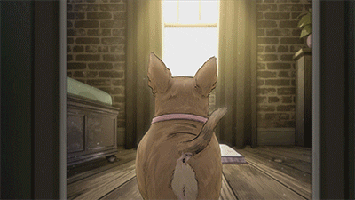 mark duplass cats GIF by Animals