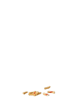 Field Day Sticker by Field Day Festivals