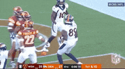 Regular Season Football GIF by NFL