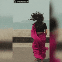 Saree Smile GIF