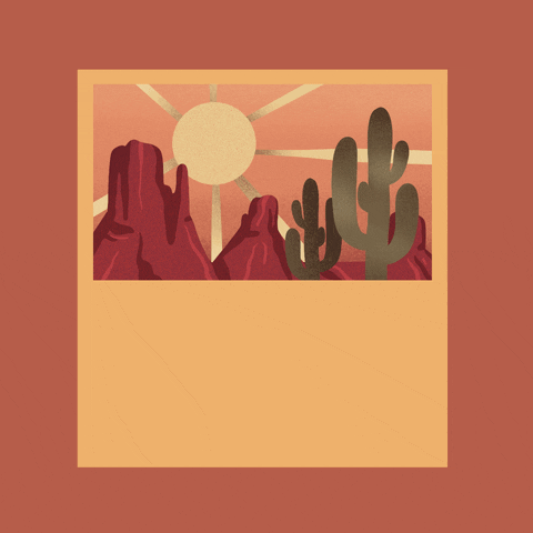 Arizona Desert Cactus GIF by Creative Courage