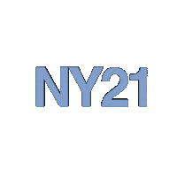 hannthomm sparkle 2020 2021 happynewyear Sticker