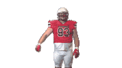 Eldridge Sticker by Richmond Spiders