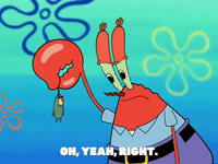 season 5 GIF by SpongeBob SquarePants