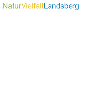Tree Leaves Sticker by Landratsamt Landsberg am Lech