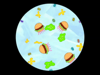 season 5 GIF by SpongeBob SquarePants