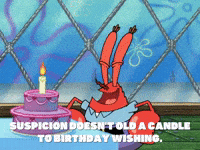 season 5 GIF by SpongeBob SquarePants