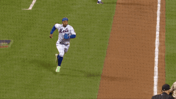 Happy Major League Baseball GIF by New York Mets