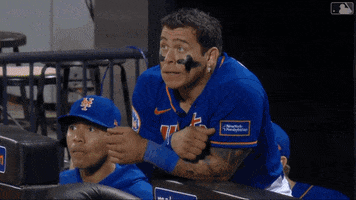Happy Major League Baseball GIF by New York Mets