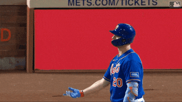 Excited Major League Baseball GIF by New York Mets