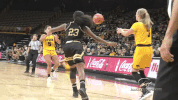 GIF by University of Iowa Hawkeyes Athletics