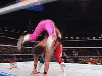 wwe sports wwe wrestling 1992 GIF
