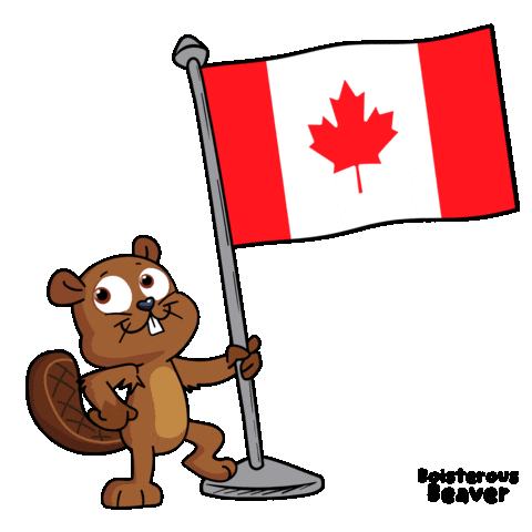 Canadian World Sticker by VeeFriends