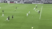 save la liga GIF by Real Madrid