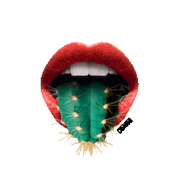 burritos olemole Sticker