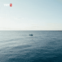 Summer Travel GIF by TRT