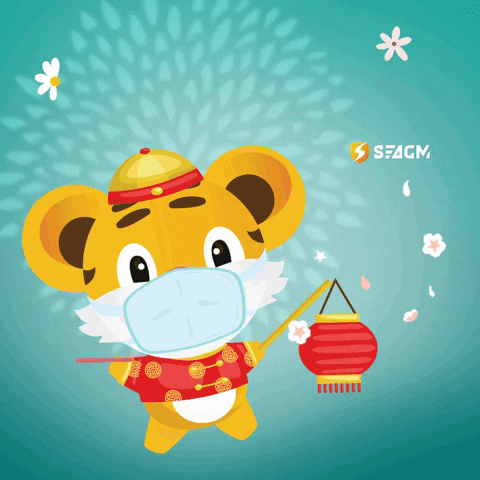 Stay Safe GIF by SEAGM