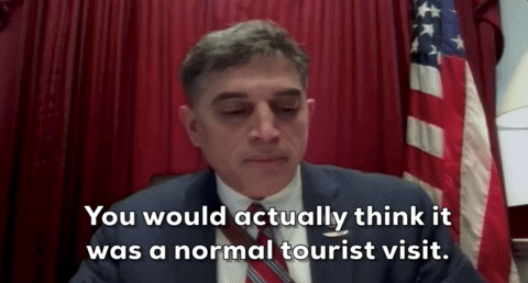 Andrew Clyde GIF by GIPHY News