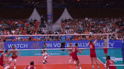 Power Smash GIF by Volleyball World