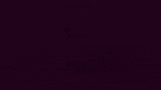 luciaparias fire home house candle GIF