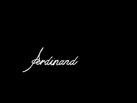 FerdinandConcept giphygifmaker ferdinand ferdinandconcept ferdinandtotallook GIF