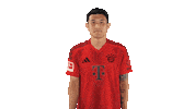Fc Bayern Thumbs Up Sticker by Bundesliga